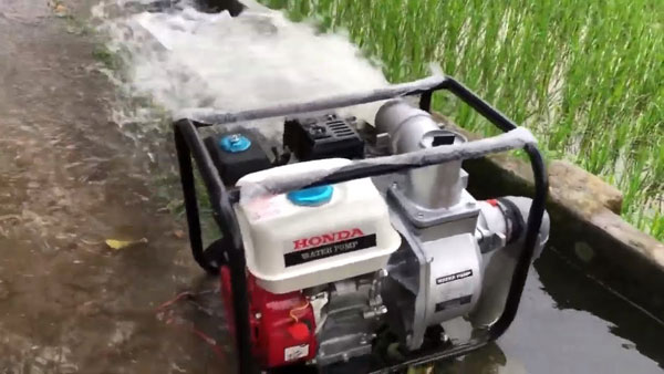 máy bơm nước nông nghiệp chạy bằng xăng