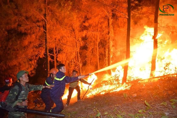 Công tác bảo vệ rừng, phòng cháy chữa cháy rừng Thong-tin-nguoi-gay-chay-rung-o-Ha-Tinh-1